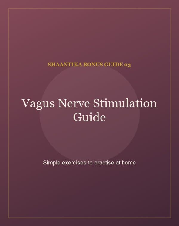 Cover preview of the Vagus Nerve Stimulation Exercise Guide
